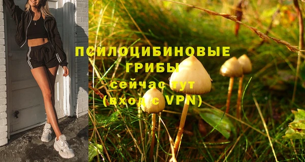 круглые Алексин